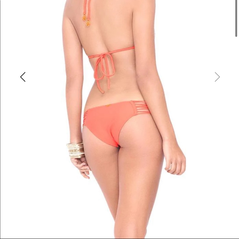 Luli fama Fuego Bottom